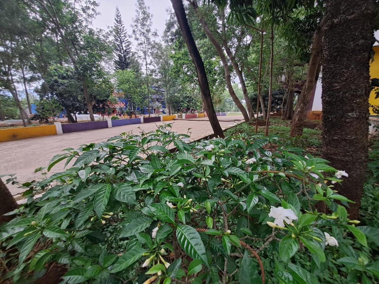 Ushodaya Resorts Araku Esterno foto