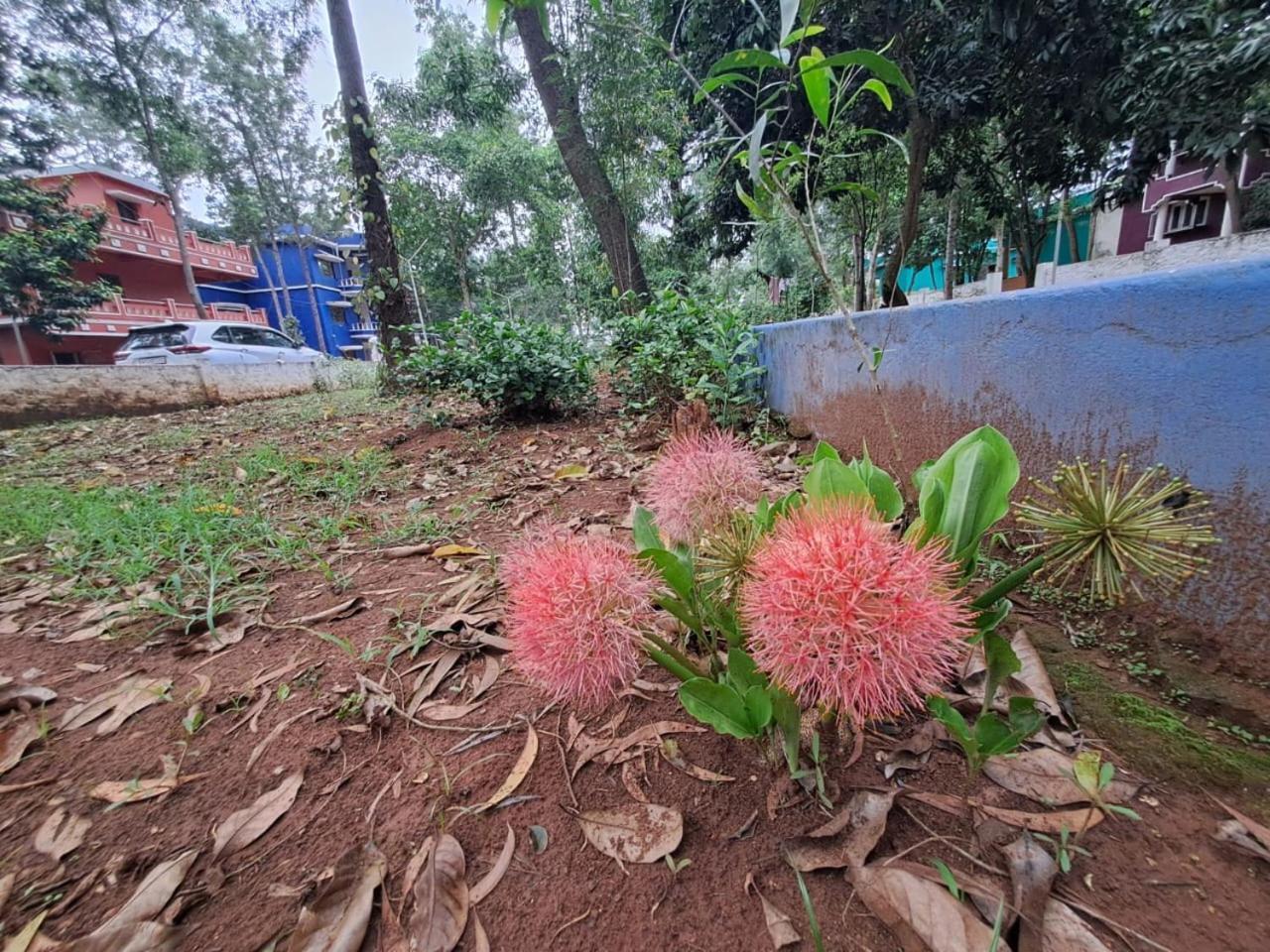 Ushodaya Resorts Araku Esterno foto